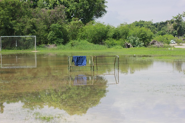 羅馬無疑開 羅馬無疑開