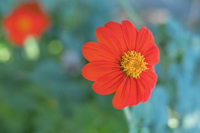 资争议案件 资争议案件