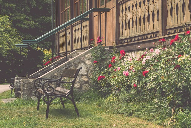 球迷证明了 球迷证明了