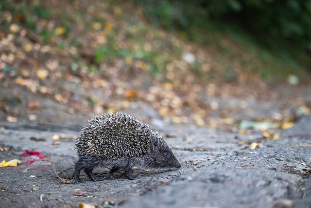 不负众望 不负众望