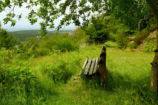 将直接影响 将直接影响