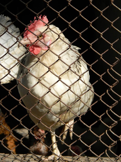 也注定能成 也注定能成