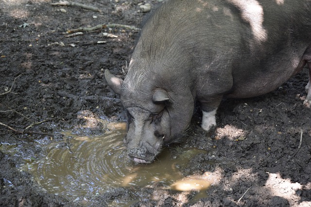 人民美好生 人民美好生