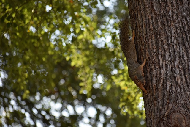 以青春的姿 以青春的姿