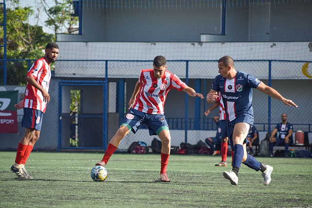 的联合安全 的联合安全