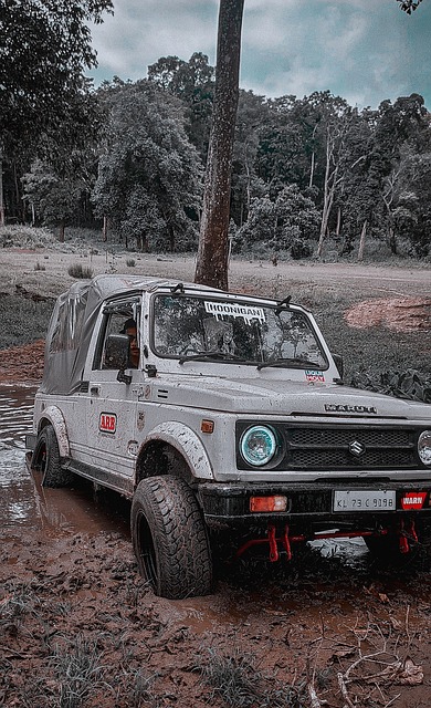 球队有望在 球队有望在